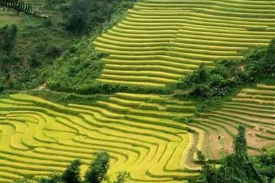 Vietnam Packages 7days 6 nights