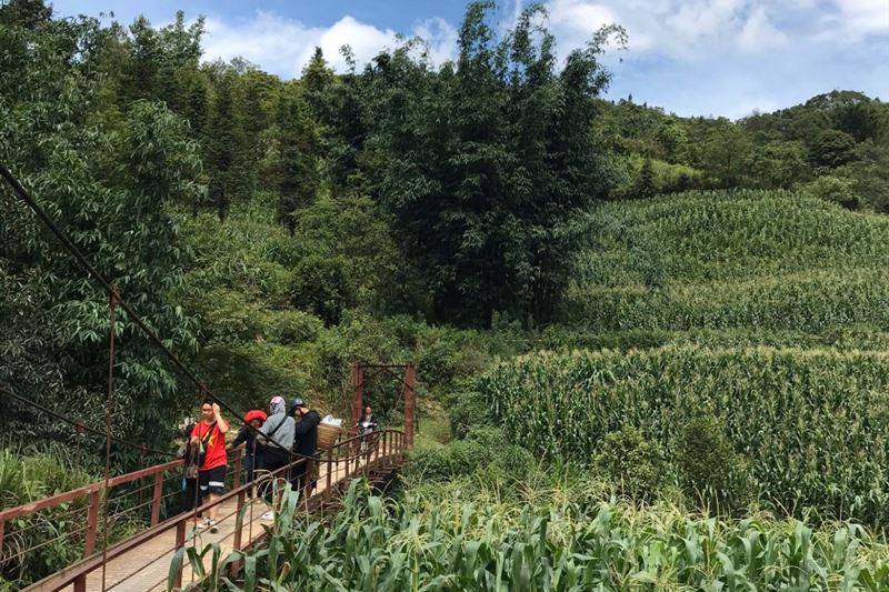 Vietnam Packages 7days 6 nights