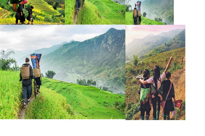Vietnam Packages 7days 6 nights